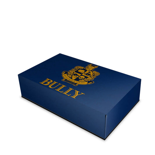 PS2 Fat Capa Anti Poeira - Bully