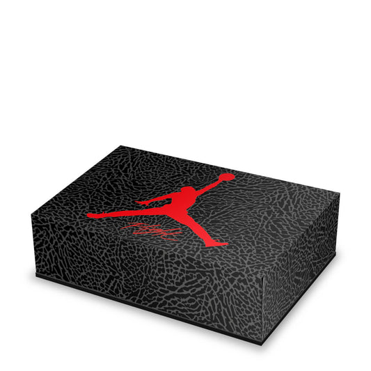 PS5 Fat Capa Anti Poeira Horizontal - Jordan Flight